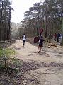1a bush trail 088